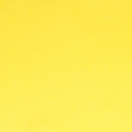 Filz Stücke 2 mm (20 x 30 cm) light yellow