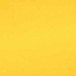 Filz Stücke 2 mm (20 x 30 cm) yellow